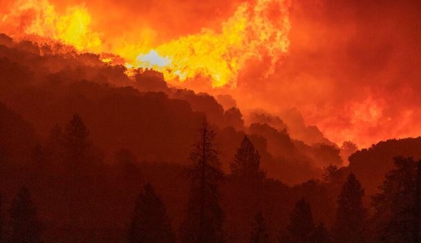 Във връзка с разрастването на пожарите в Гърция и прогнозираните